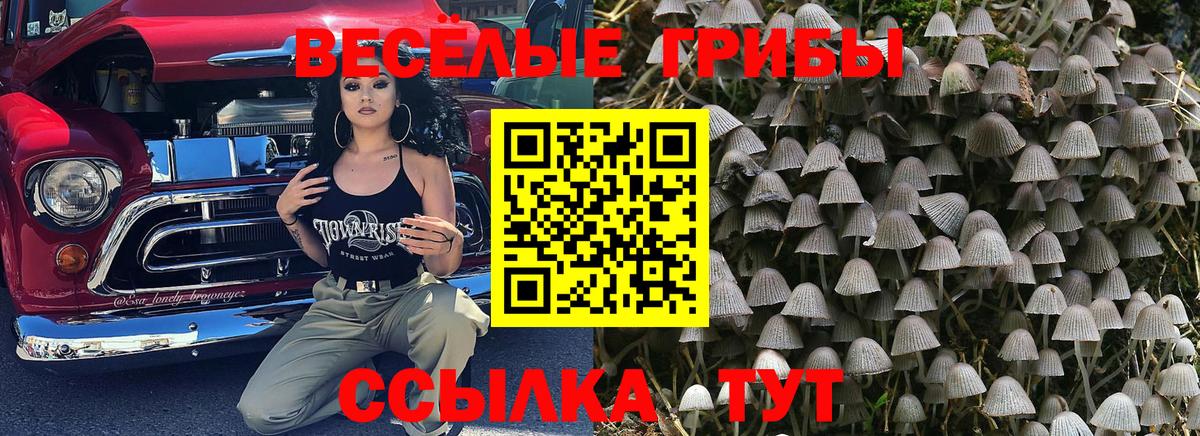 Семилуки  Псилоцибиновые грибы мицелий  закладка  Вход с VPN 